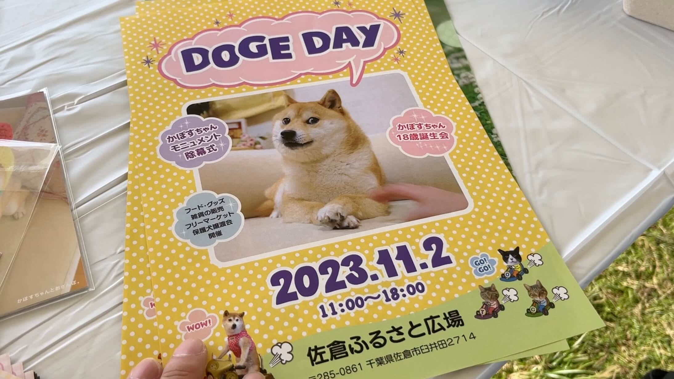 Doge Day に行ってきた！ in 佐倉ふるさと広場